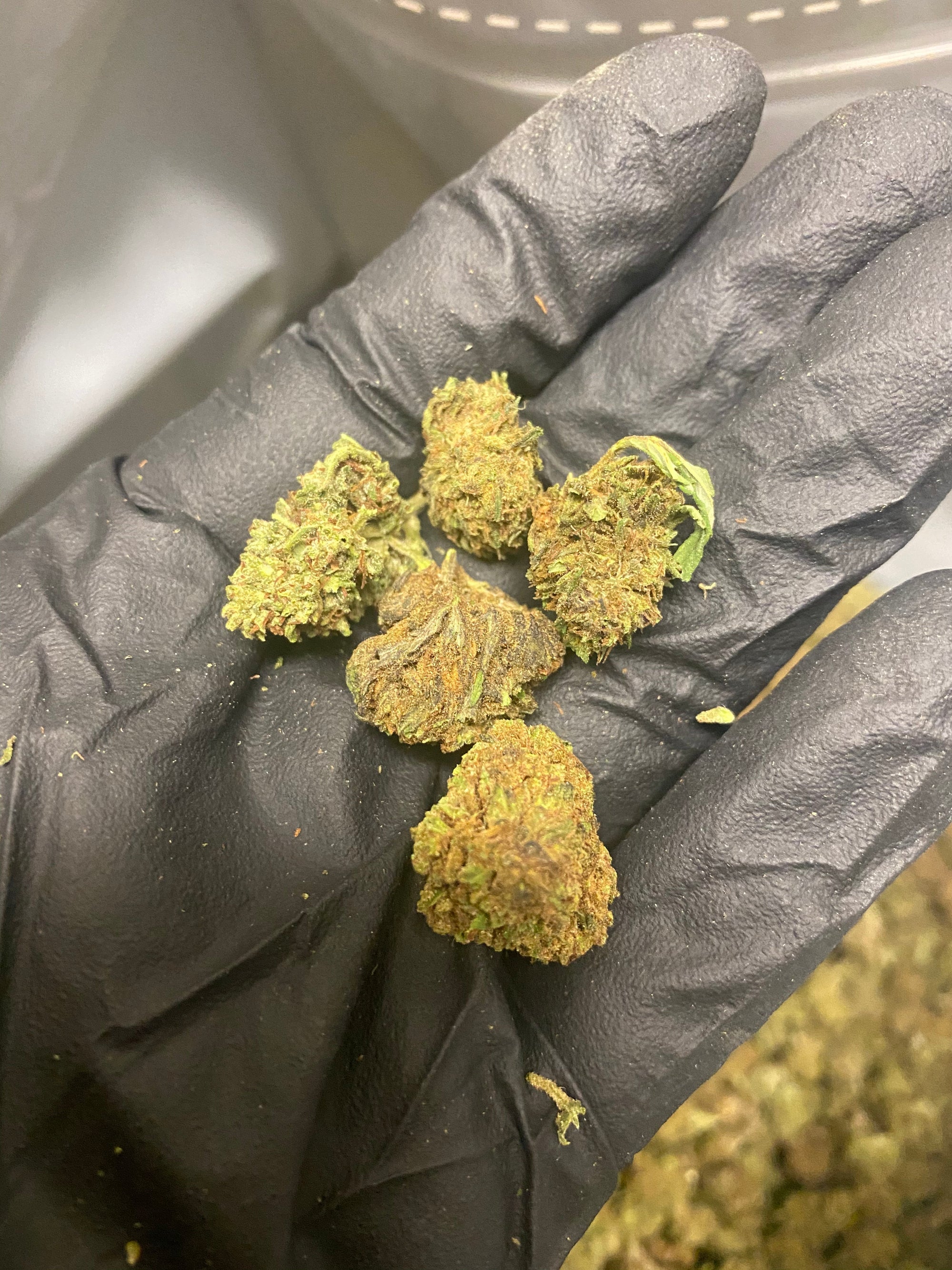 Farmers Hand Smalls