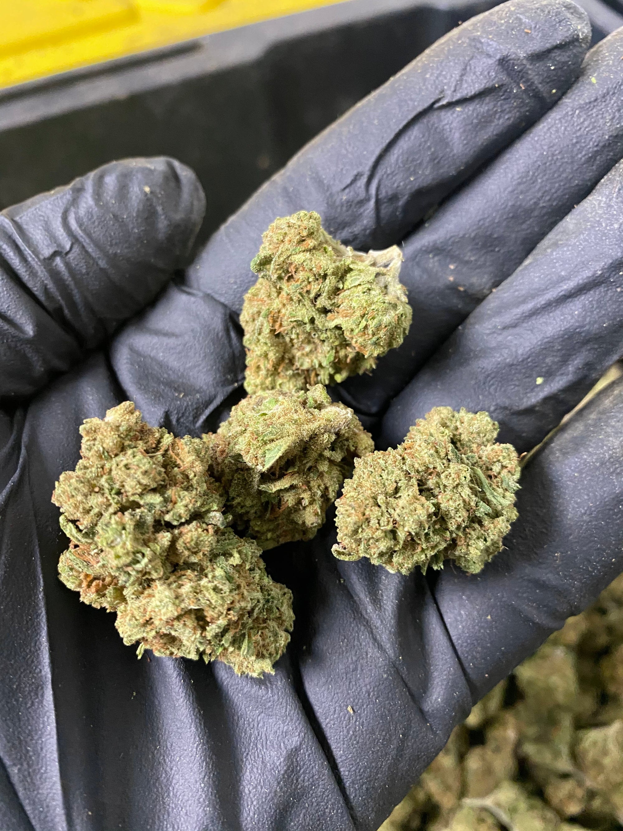 Frosted Lime CBD Flower