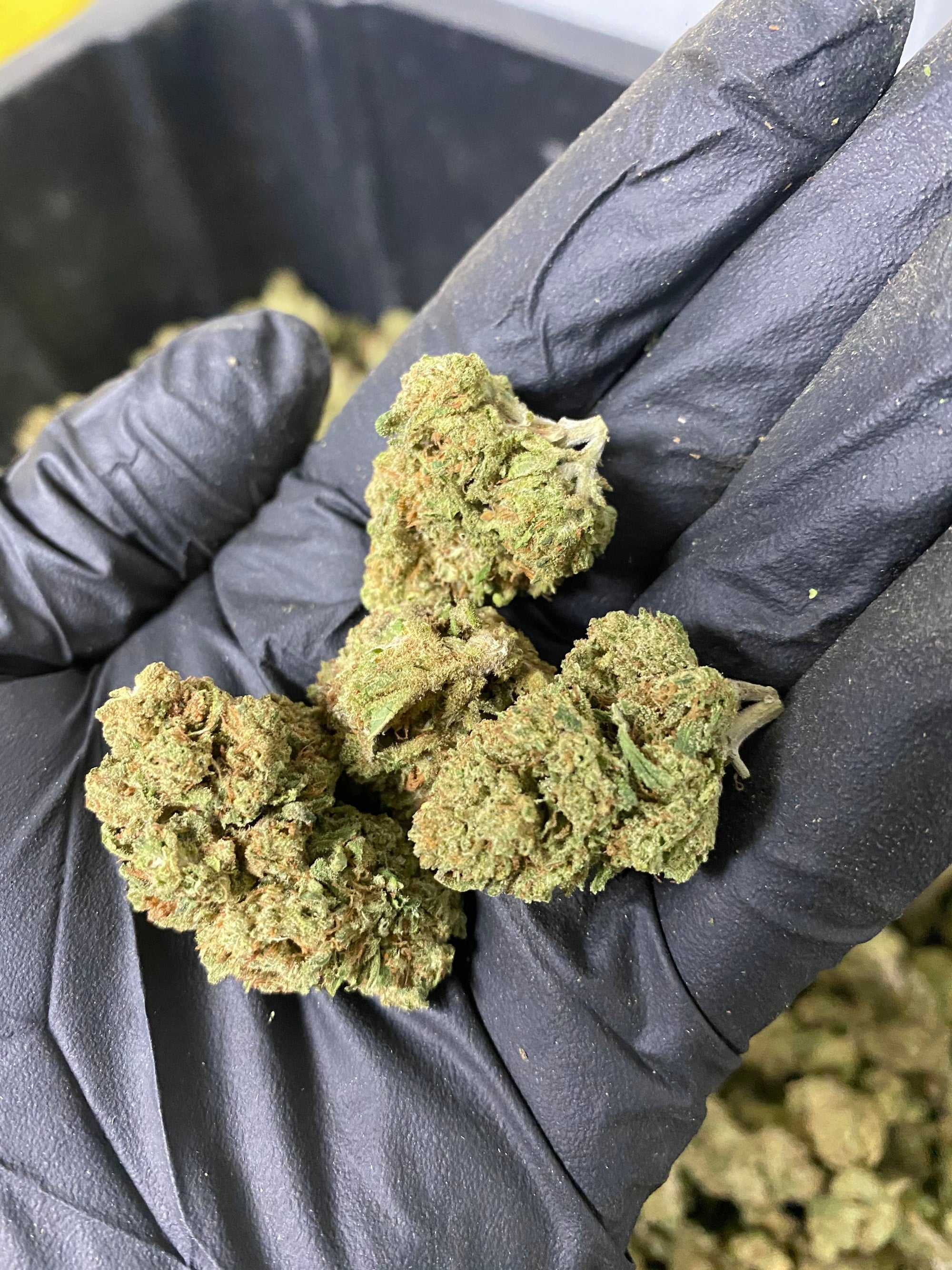 Frosted Lime CBD Flower