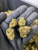 Frosted Lime CBD Flower