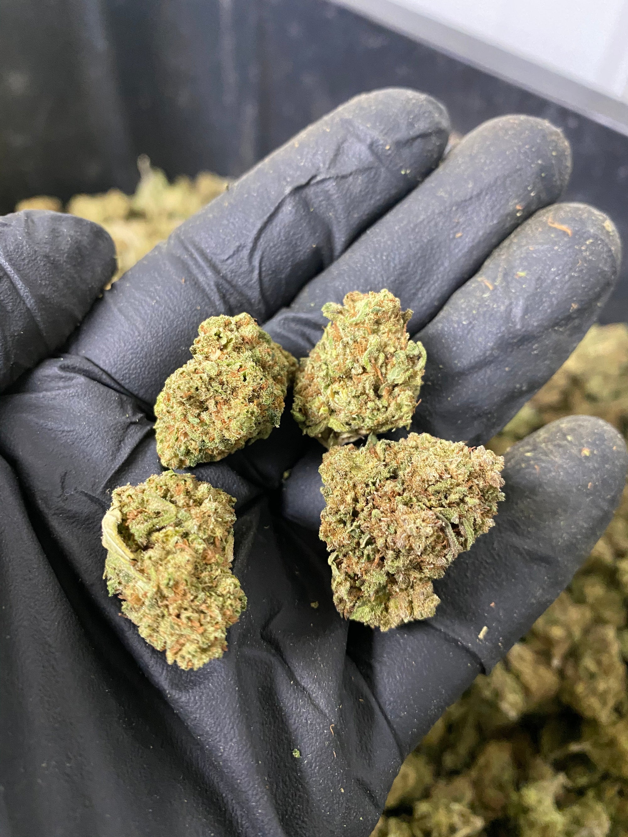 Frosted Lime CBD Flower