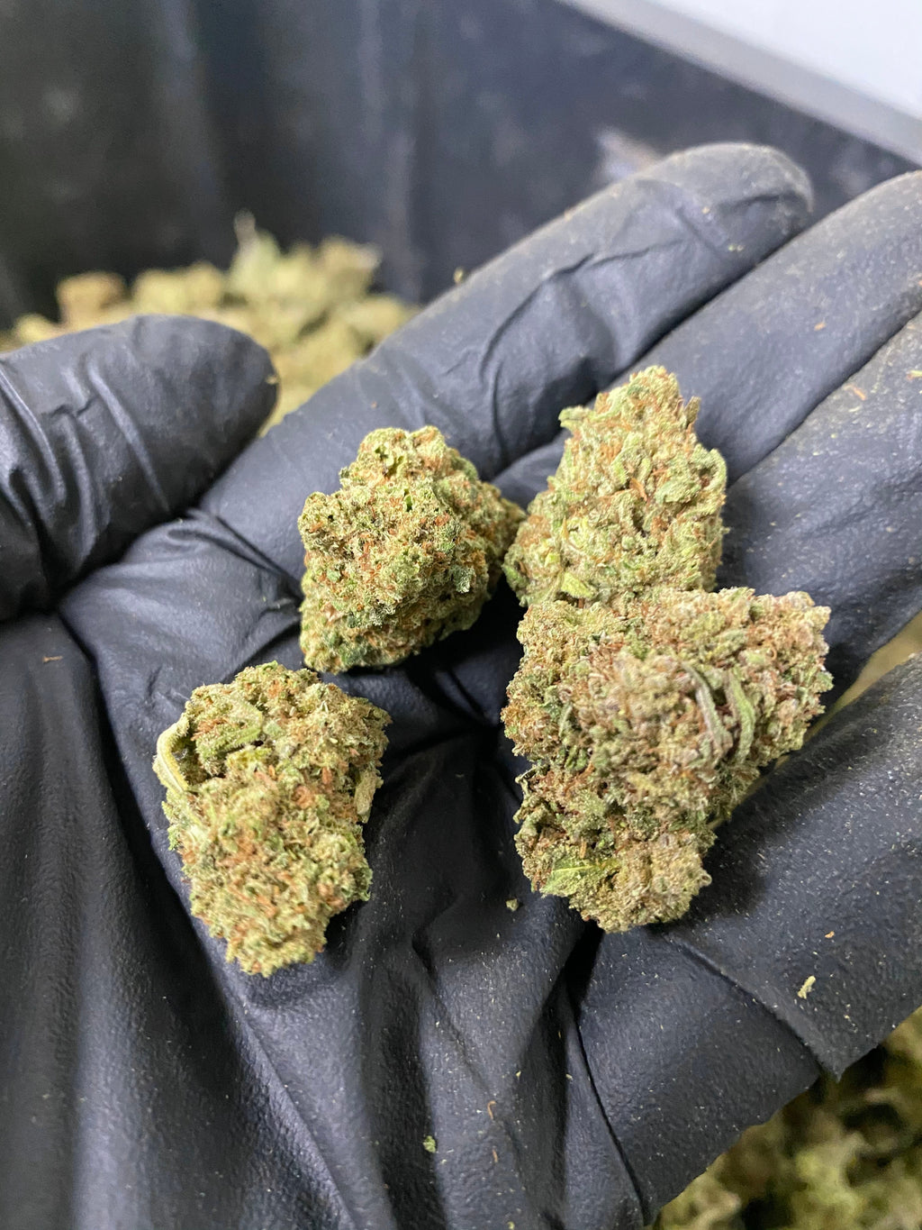 Frosted Lime CBD Flower