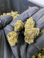 Frosted Lime CBD Flower