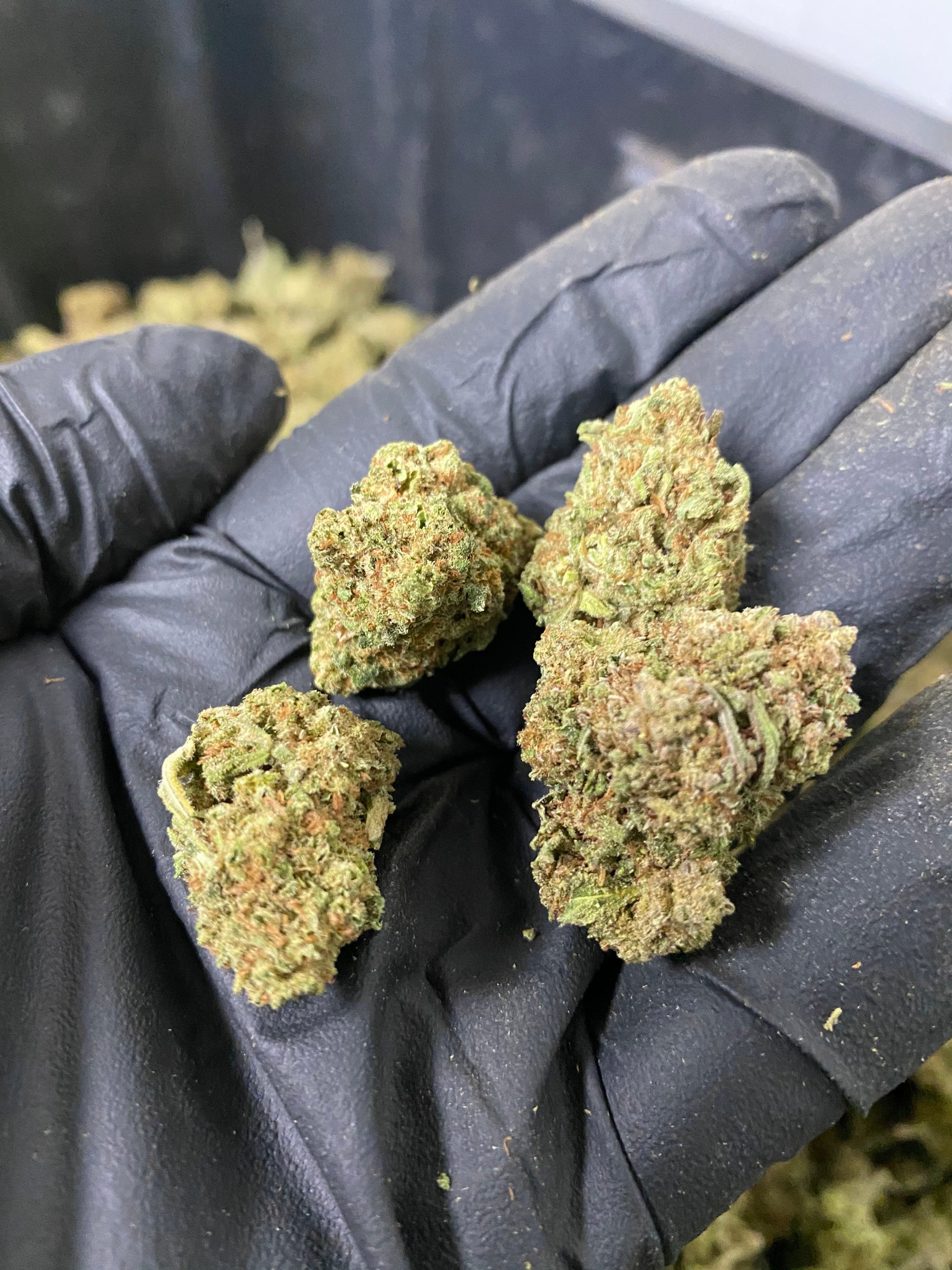 Frosted Lime CBD Flower