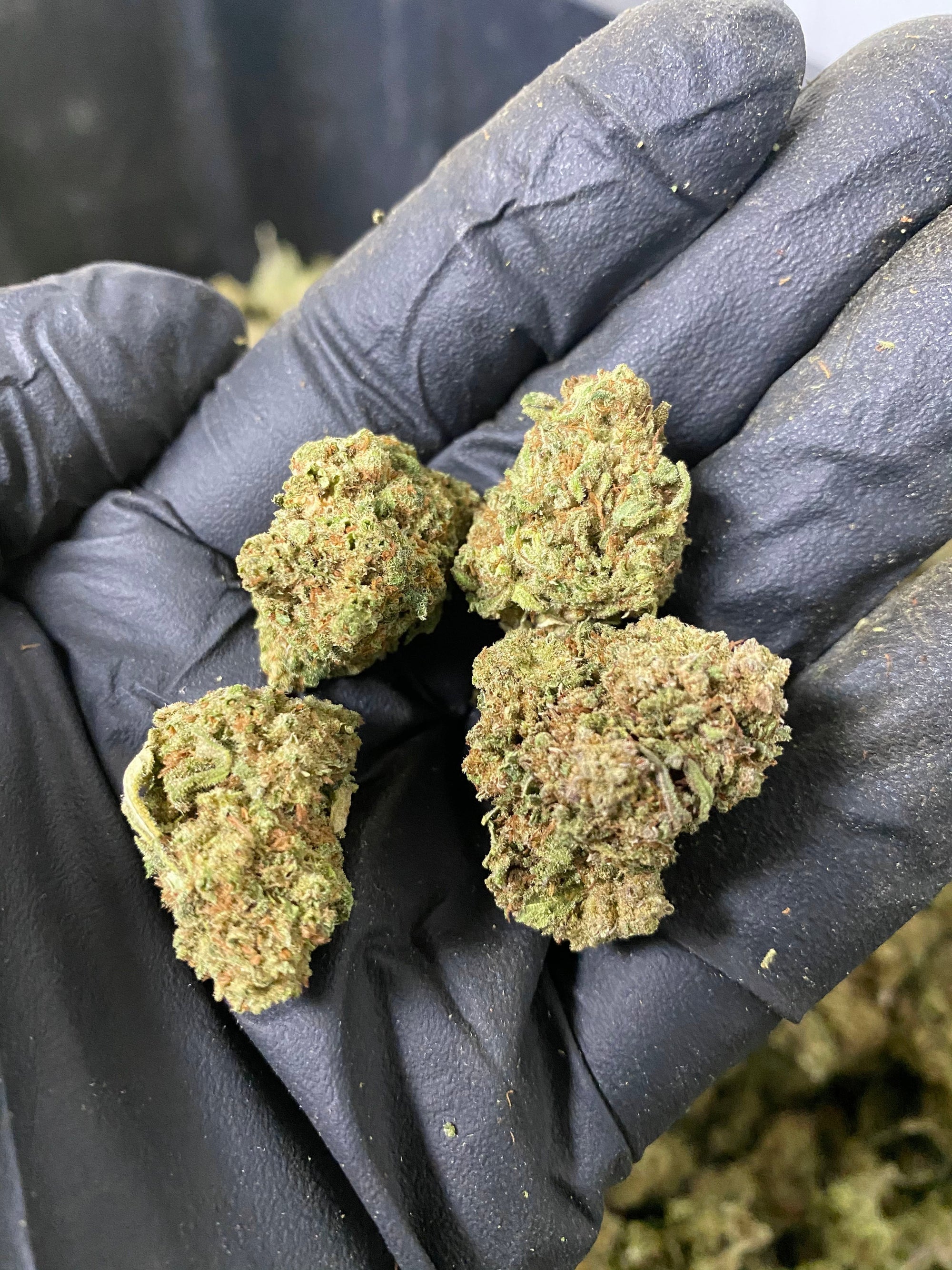 Frosted Lime CBD Flower