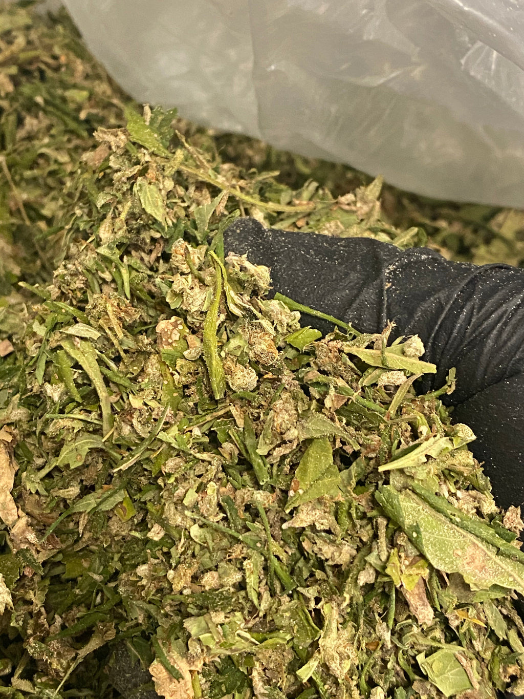 CBG Pound of Trim/Shake