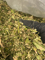 CBG Pound of Trim/Shake
