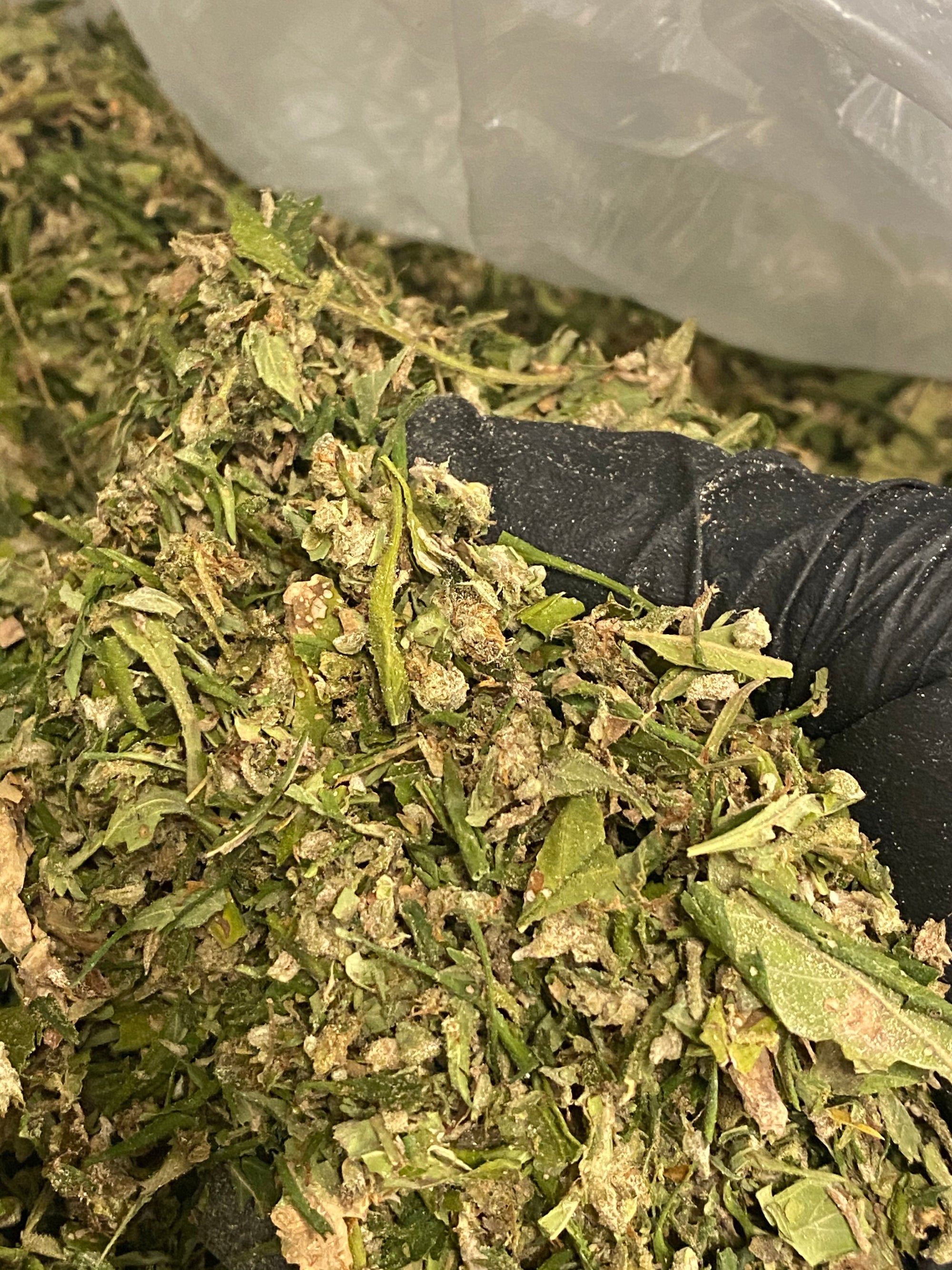 CBG Pound of Trim/Shake