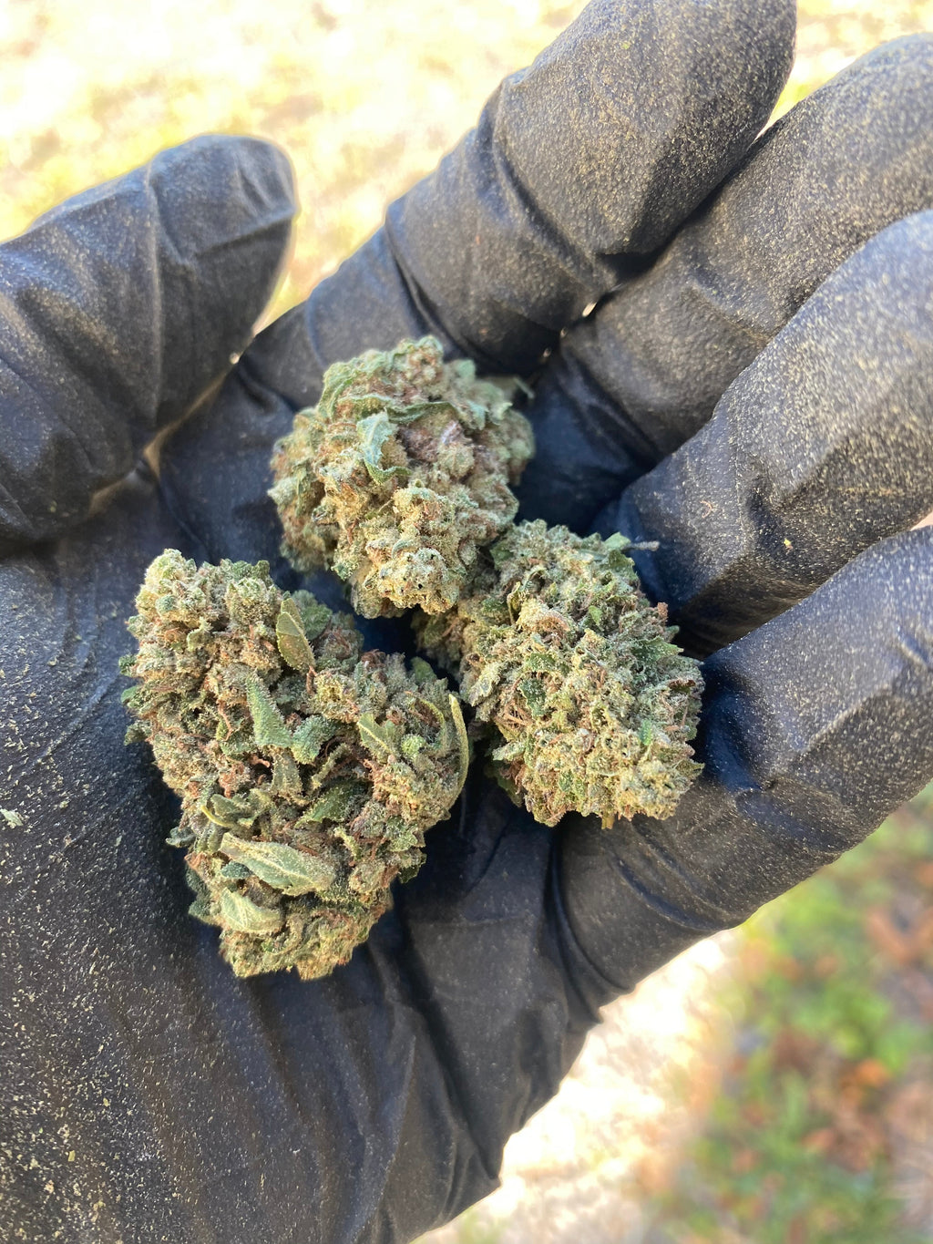 Frosted Kush - CBD Flower