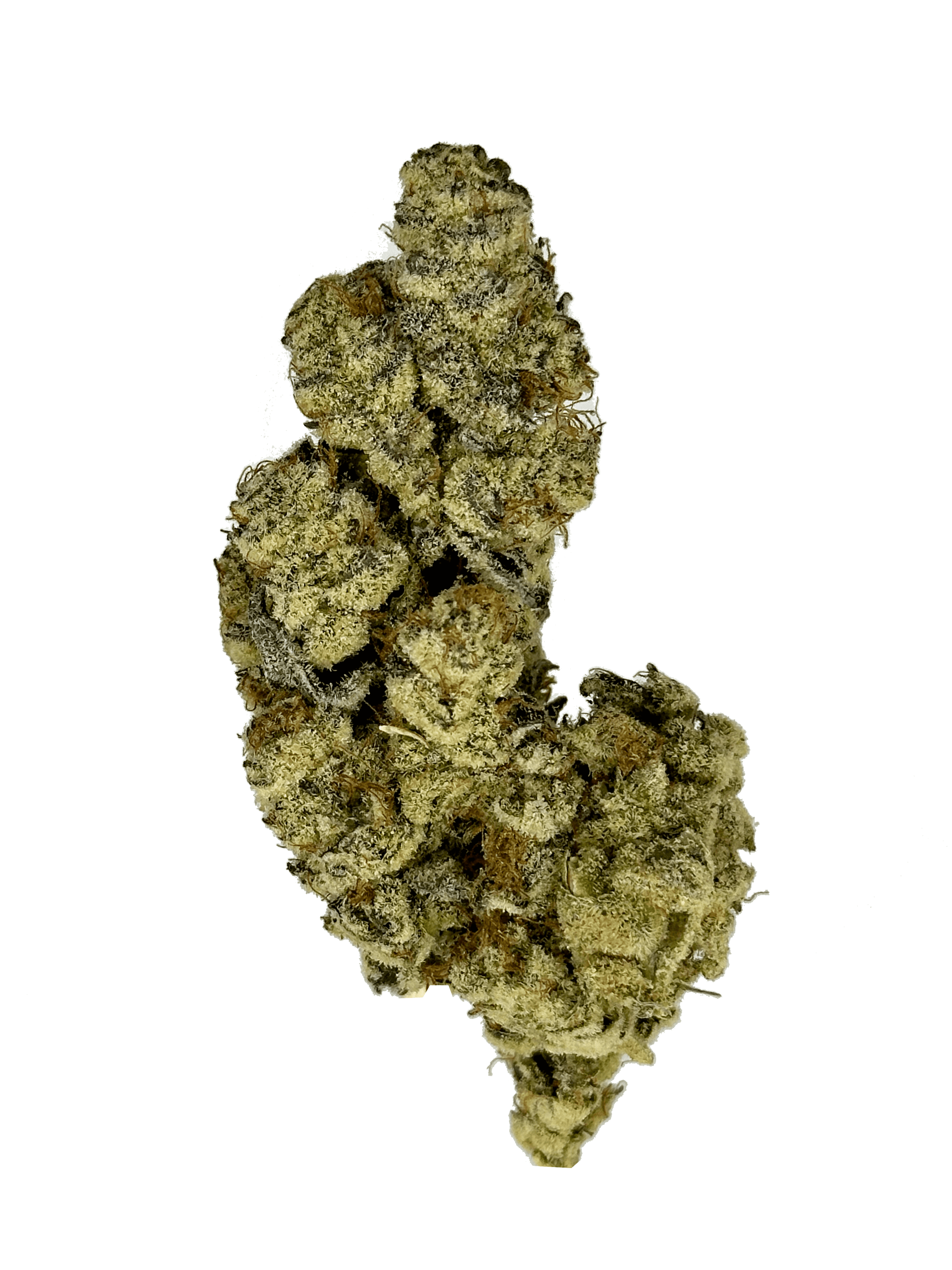 Indoor Truffle Cake THCA Flower