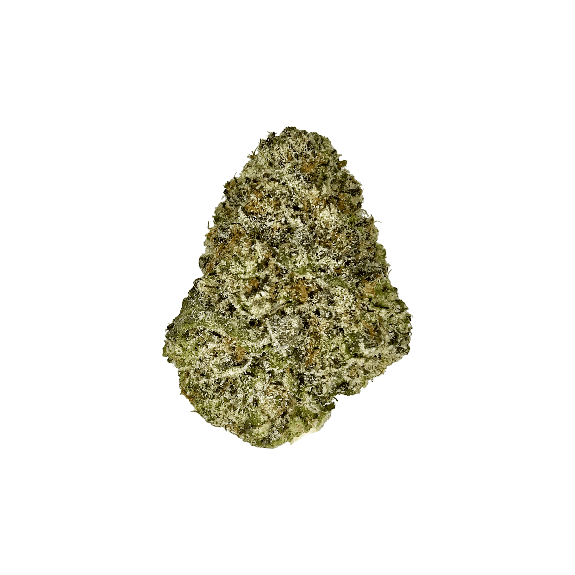 Indoor Trump Runtz THCA Flower