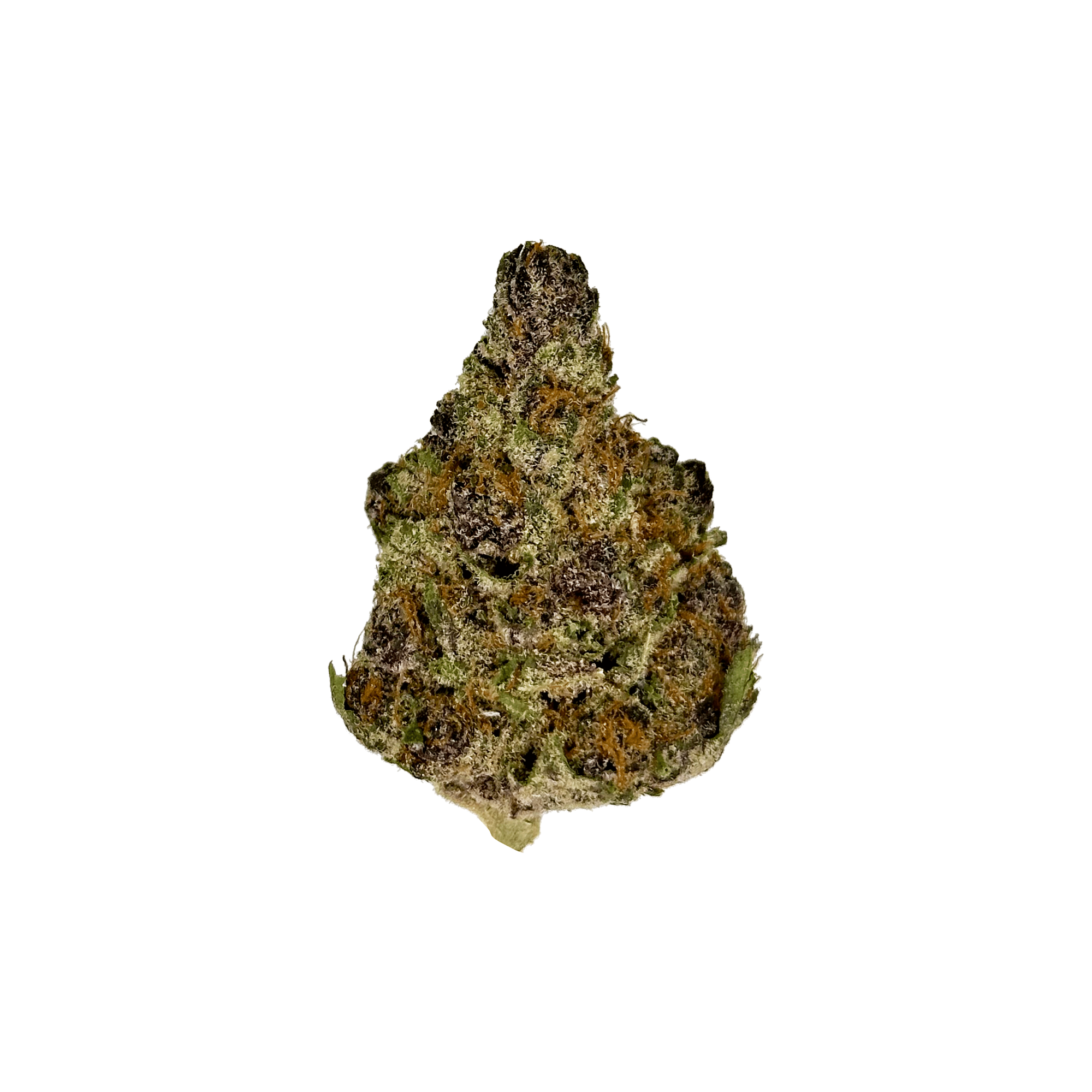 White Bubble Gum Gelato