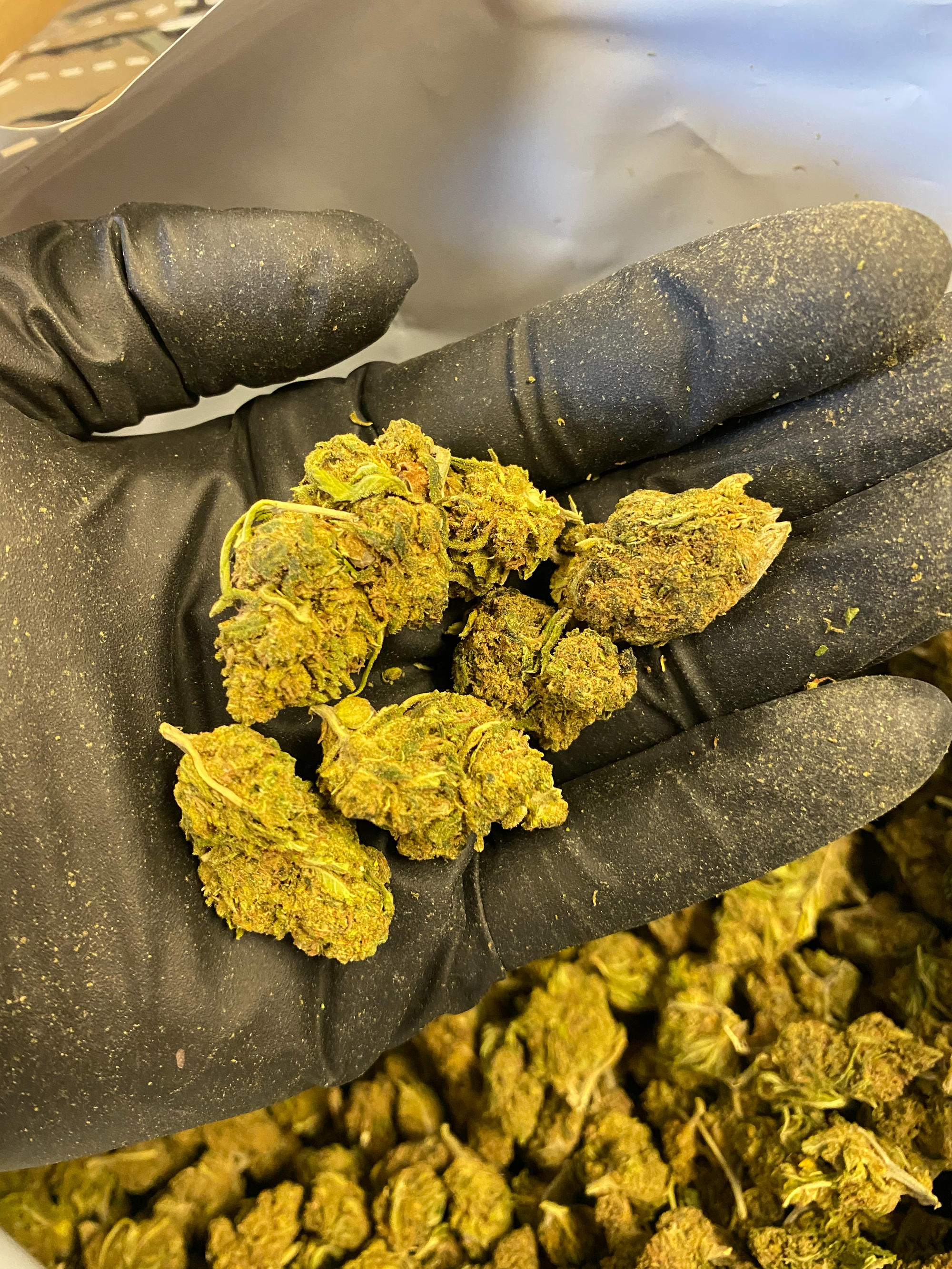 Green Giant CBD Flower