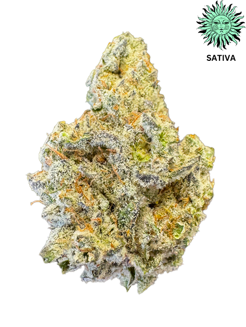Gastro Pop THCA Hemp Flower - Top Shelf