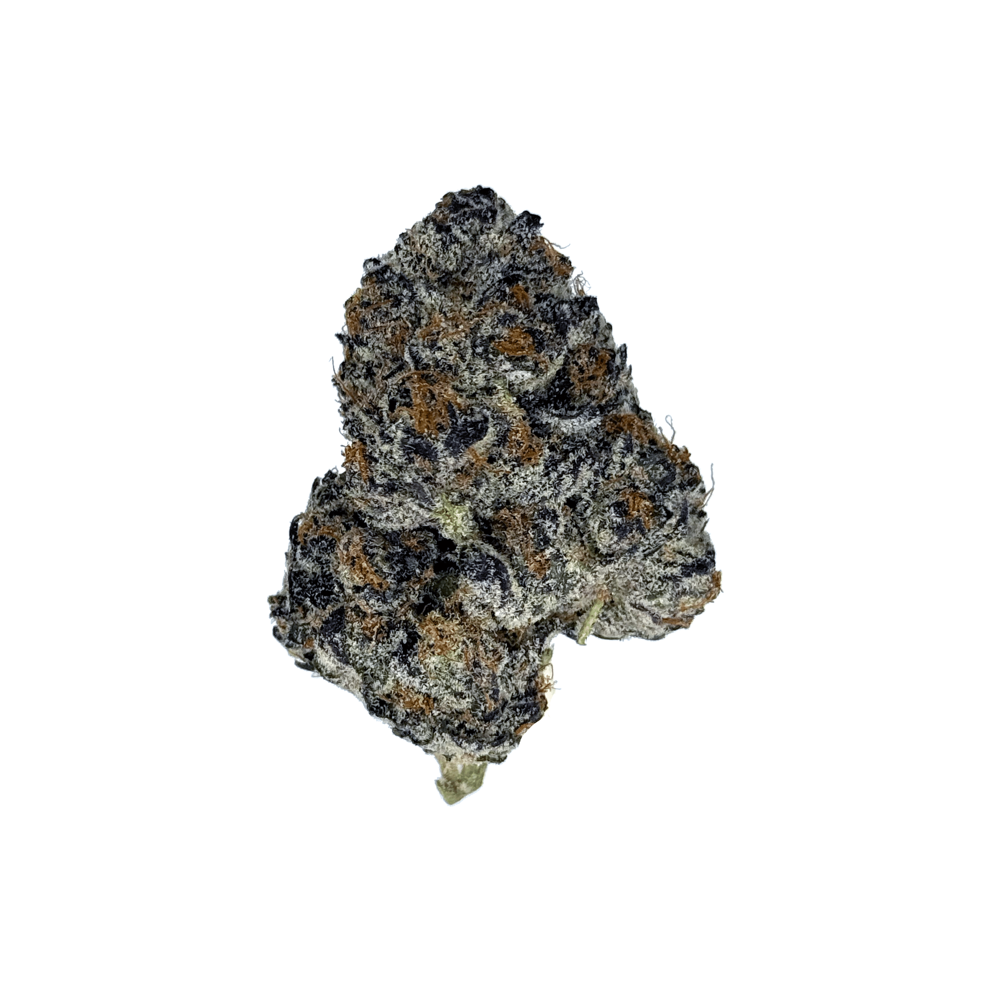 Granddaddy Purple THCa Flower