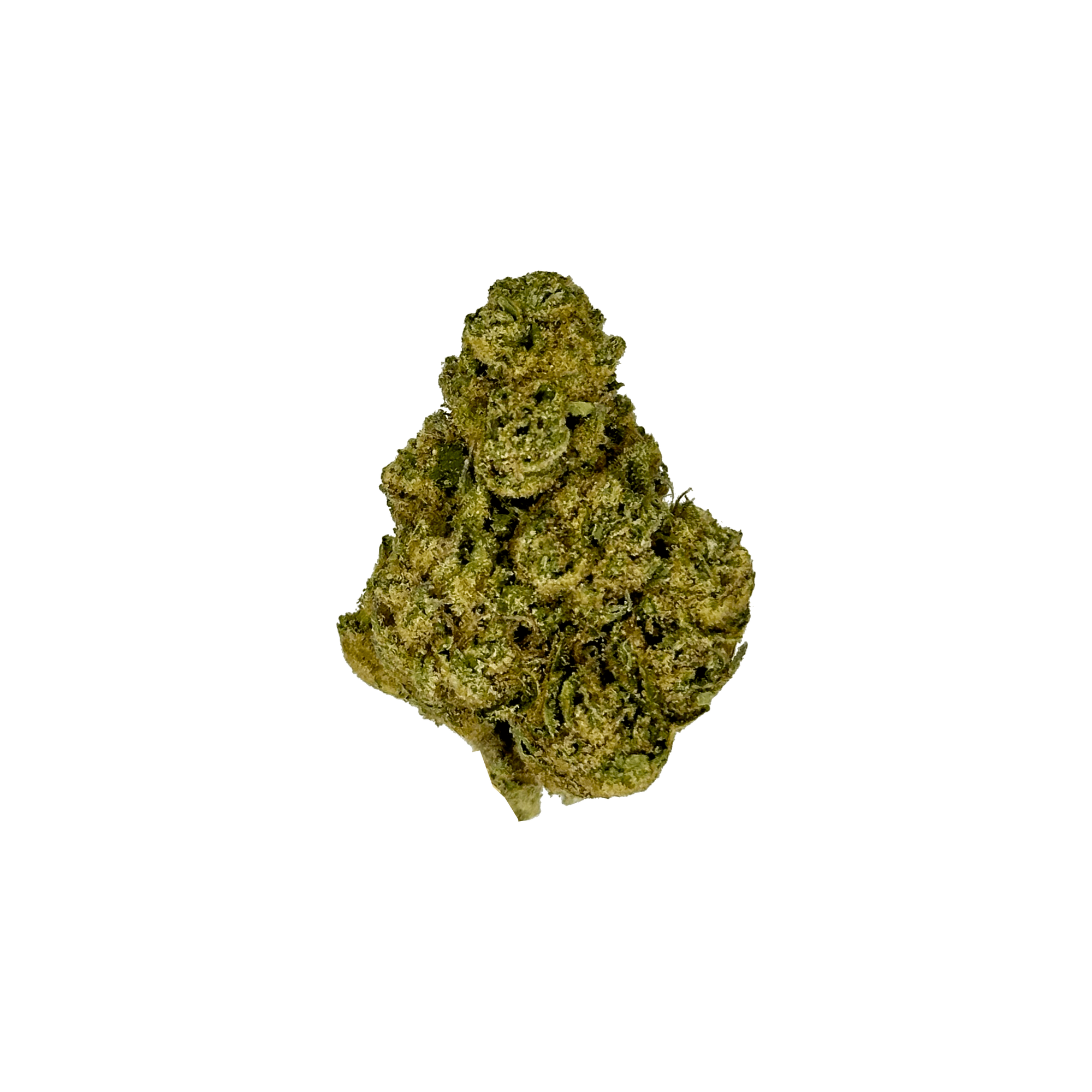 Gelato 33 THCa Flower