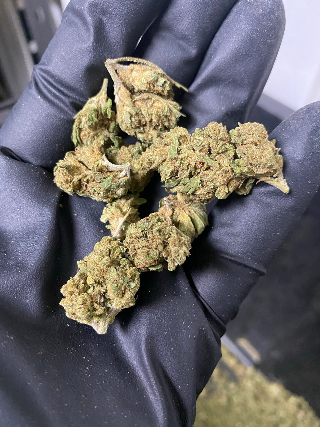 2021 The Wife Hemp Flower
