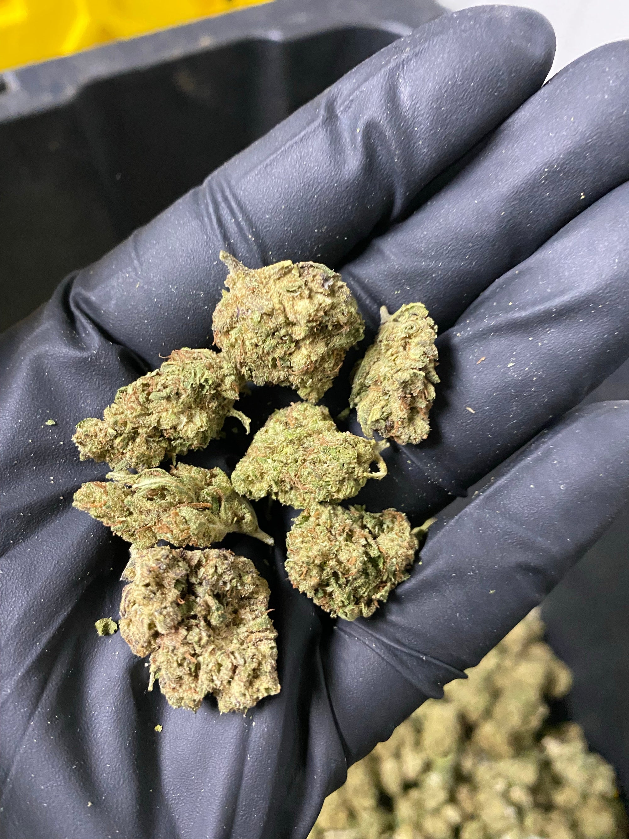Frosted Kush Smalls