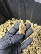 Indoor BlueBerry Haze Hemp Flower