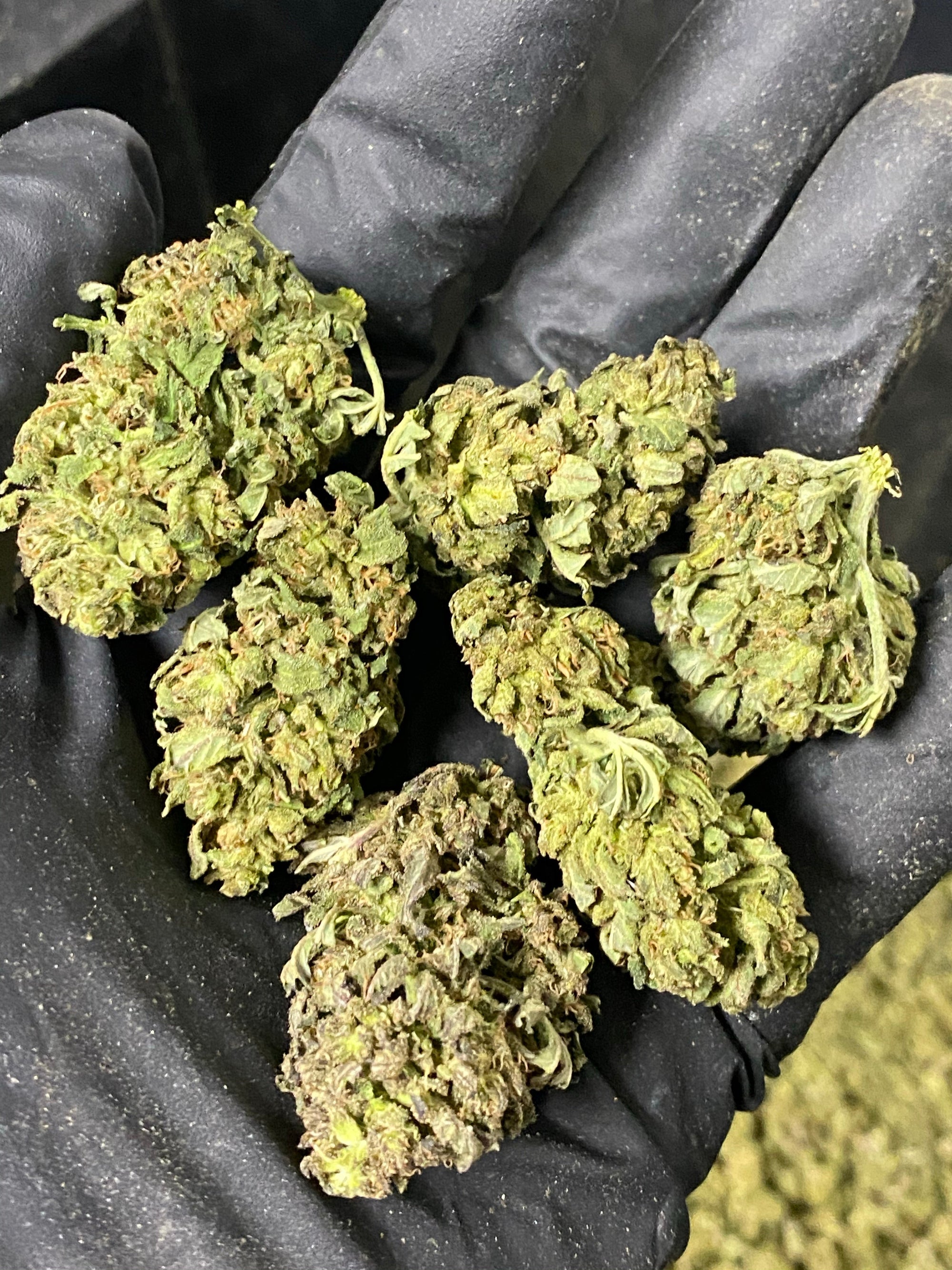Frosted Lime CBD Hemp Flower