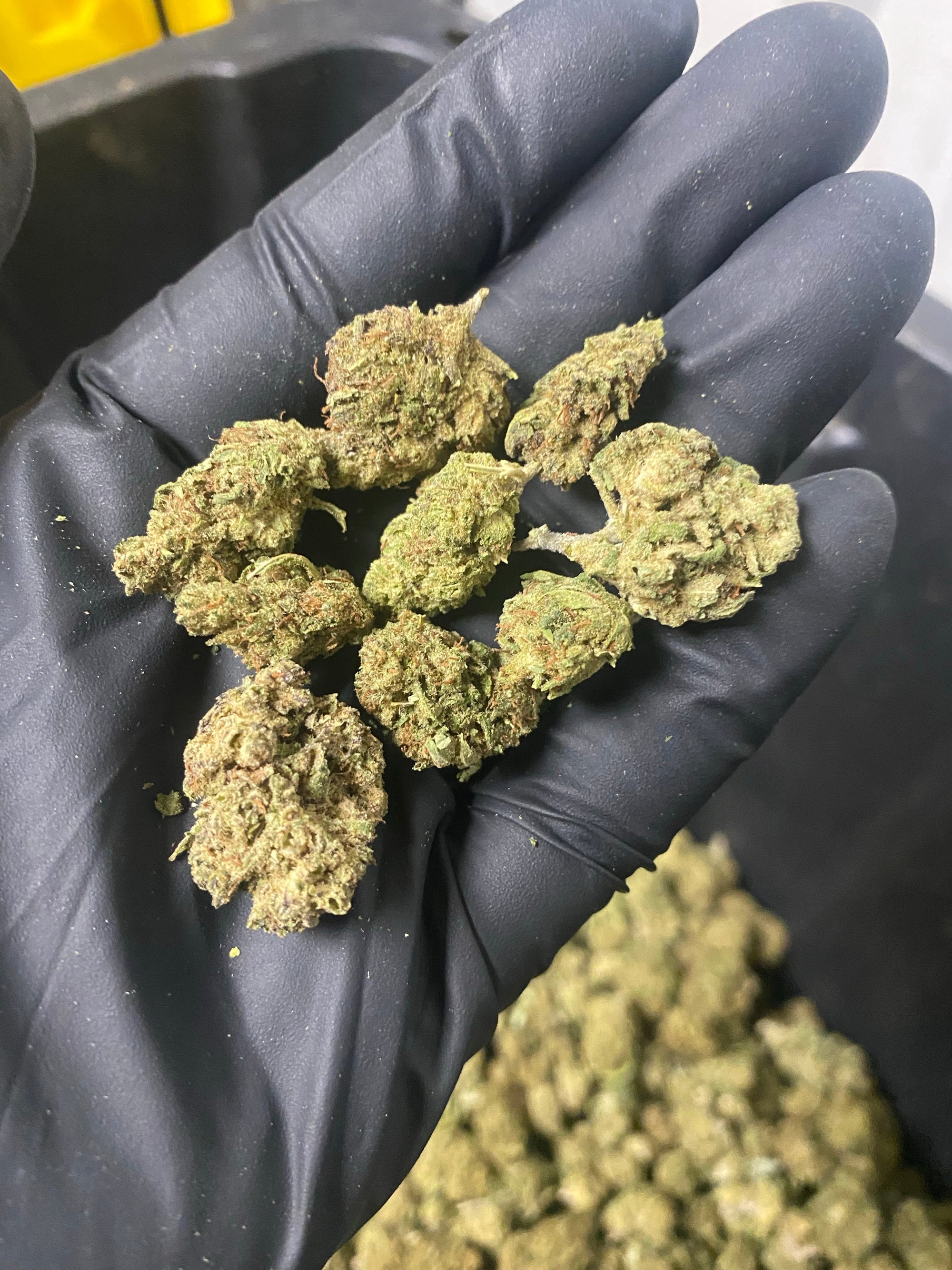 Frosted Kush Smalls