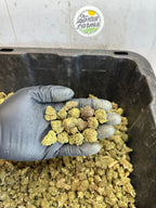 Froot Funk Hemp Flower Smalls