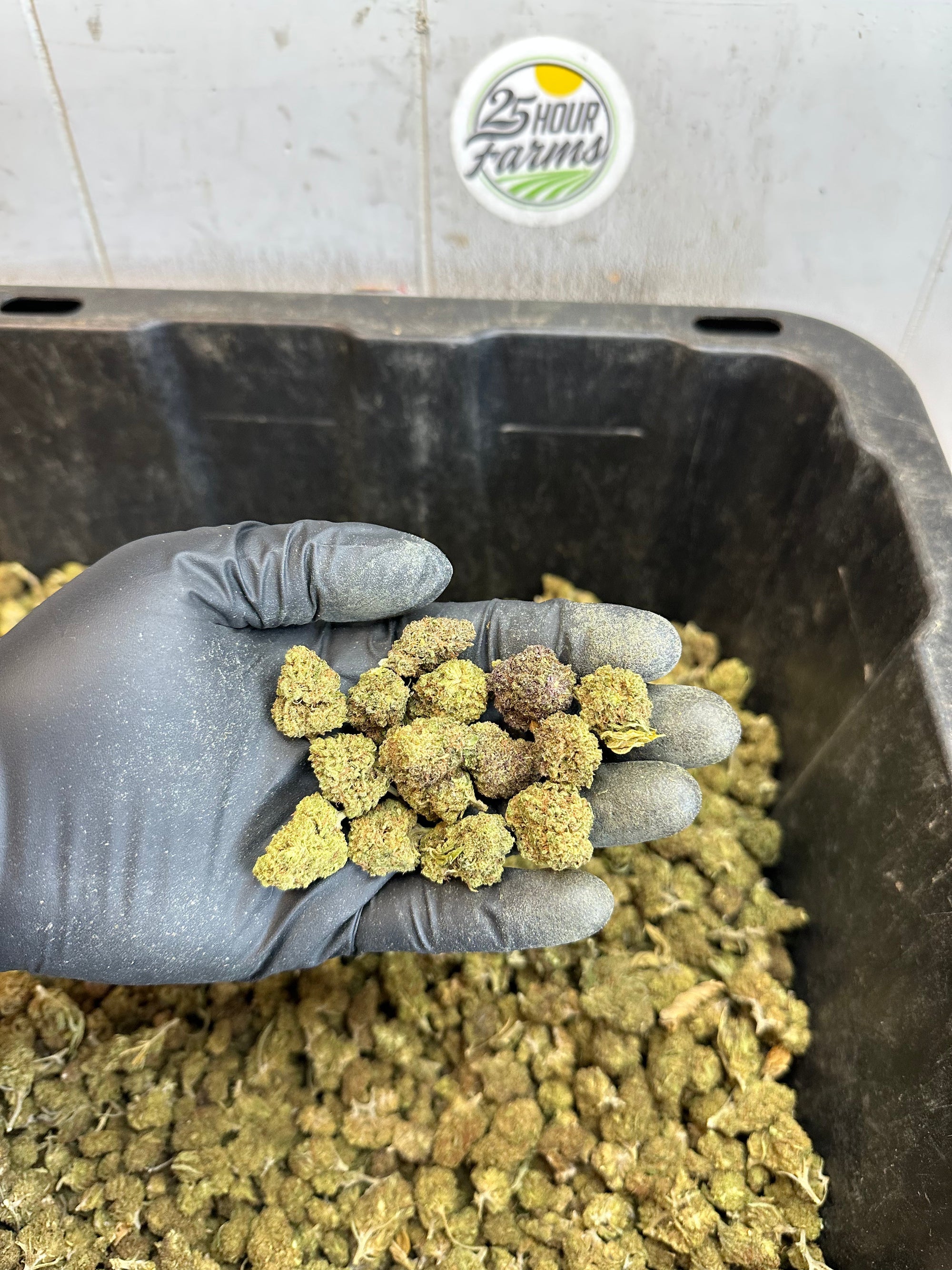 Froot Funk Hemp Flower Smalls