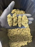 Indoor Grape Fizz Hemp Flower
