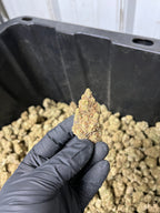 Indoor BlueBerry Haze Hemp Flower
