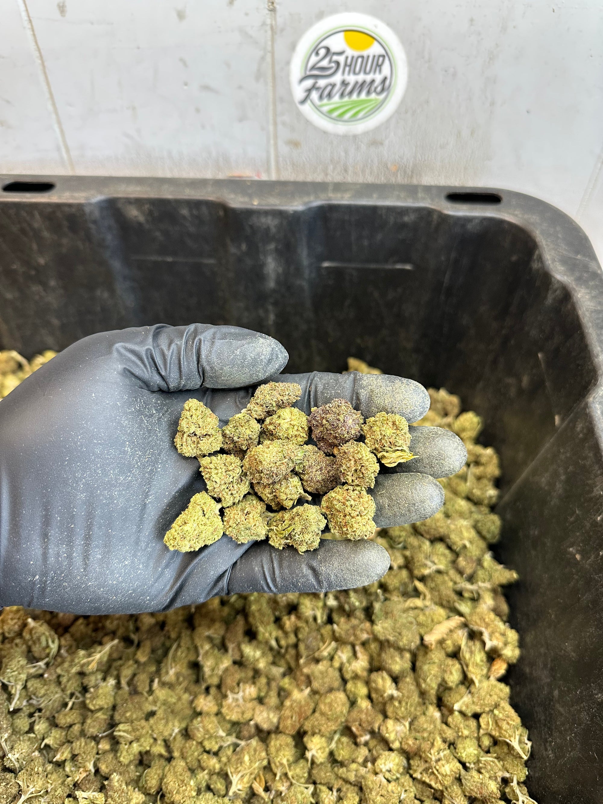 Froot Funk Hemp Flower Smalls