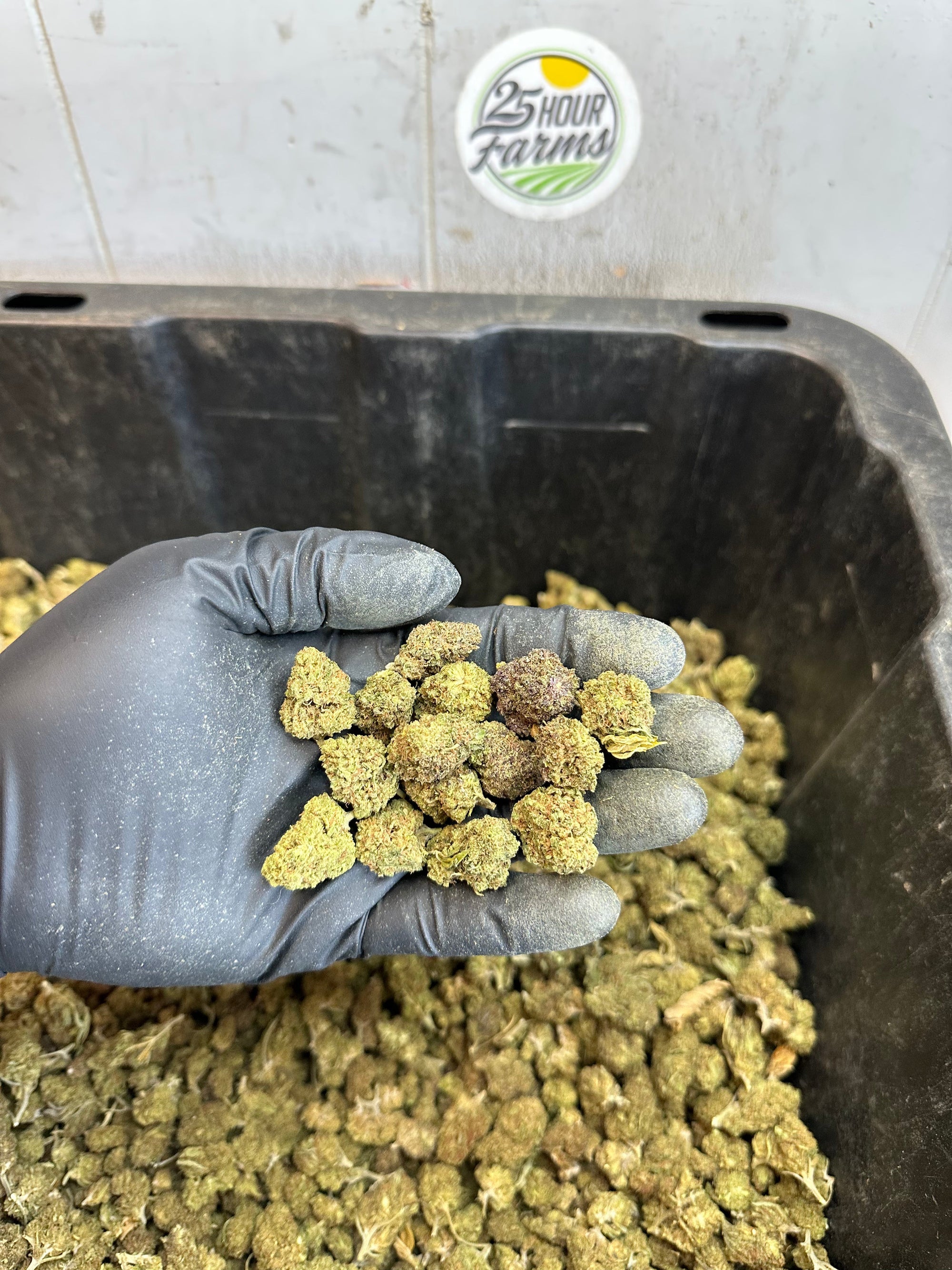 Froot Funk Hemp Flower Smalls