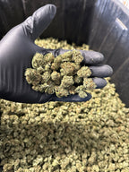 Cake Berry Hemp Flower Smalls