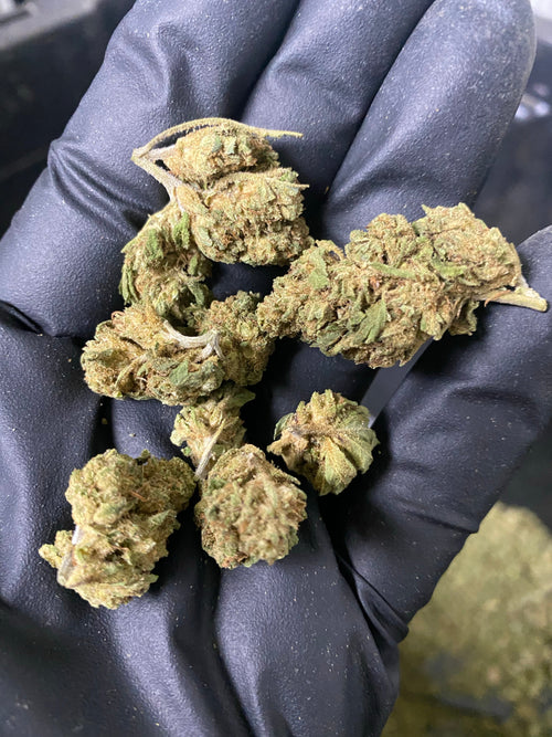 2021 The Wife Hemp Flower