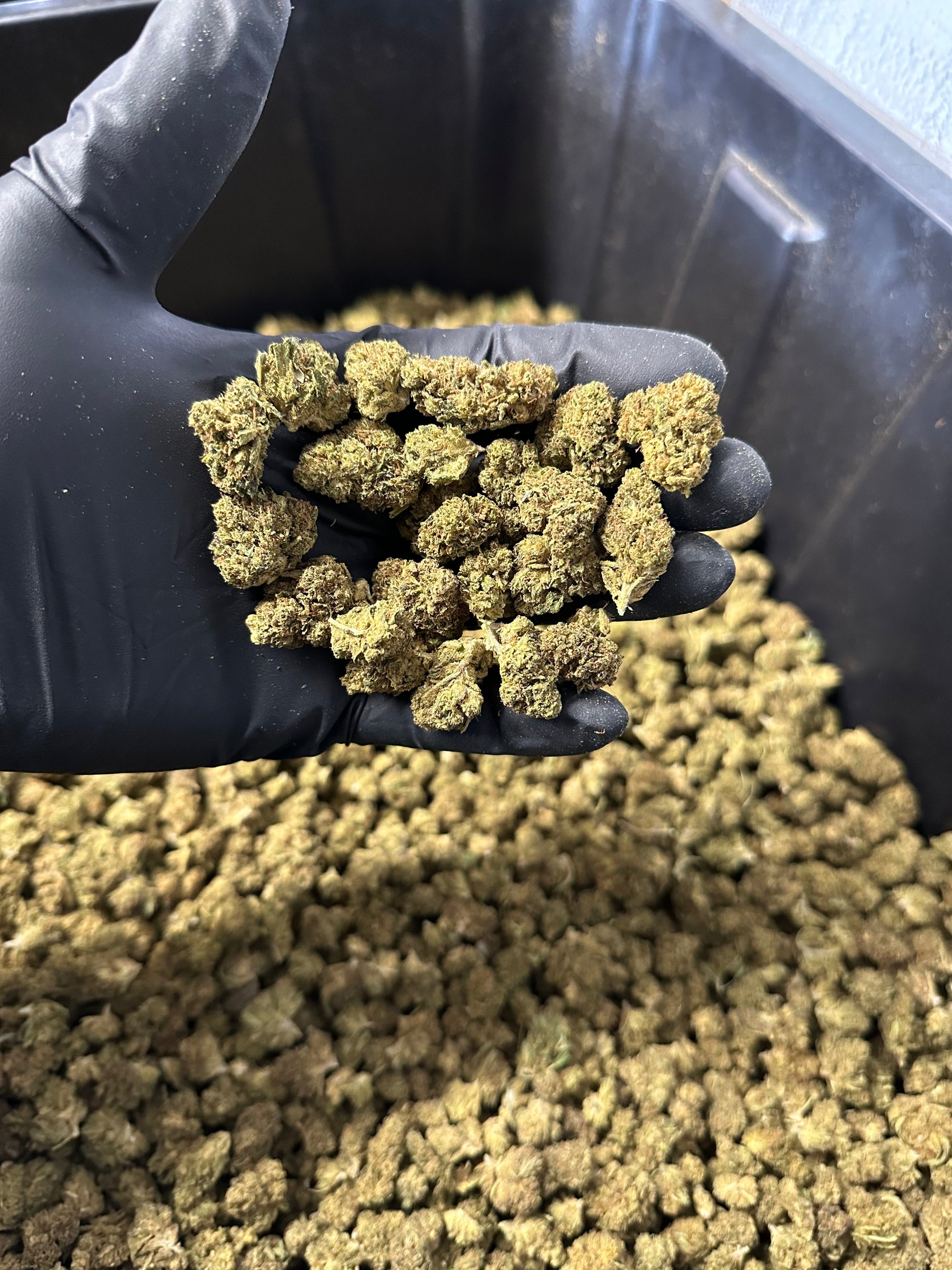 Lifter Smalls Hemp Flower