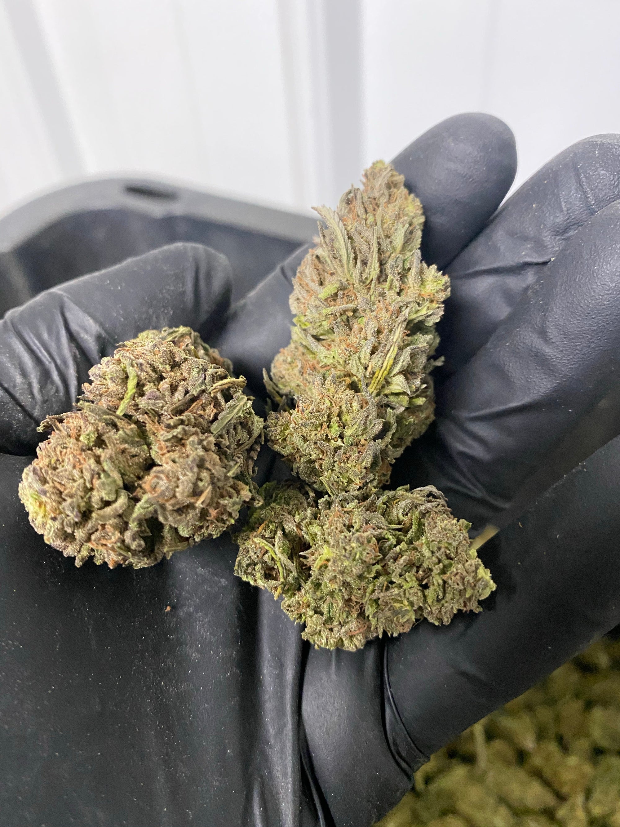 Trump-X CBD Flower