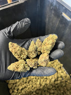 Indoor Agent Orange Hemp Flower