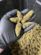 Suver Haze Hemp Flower