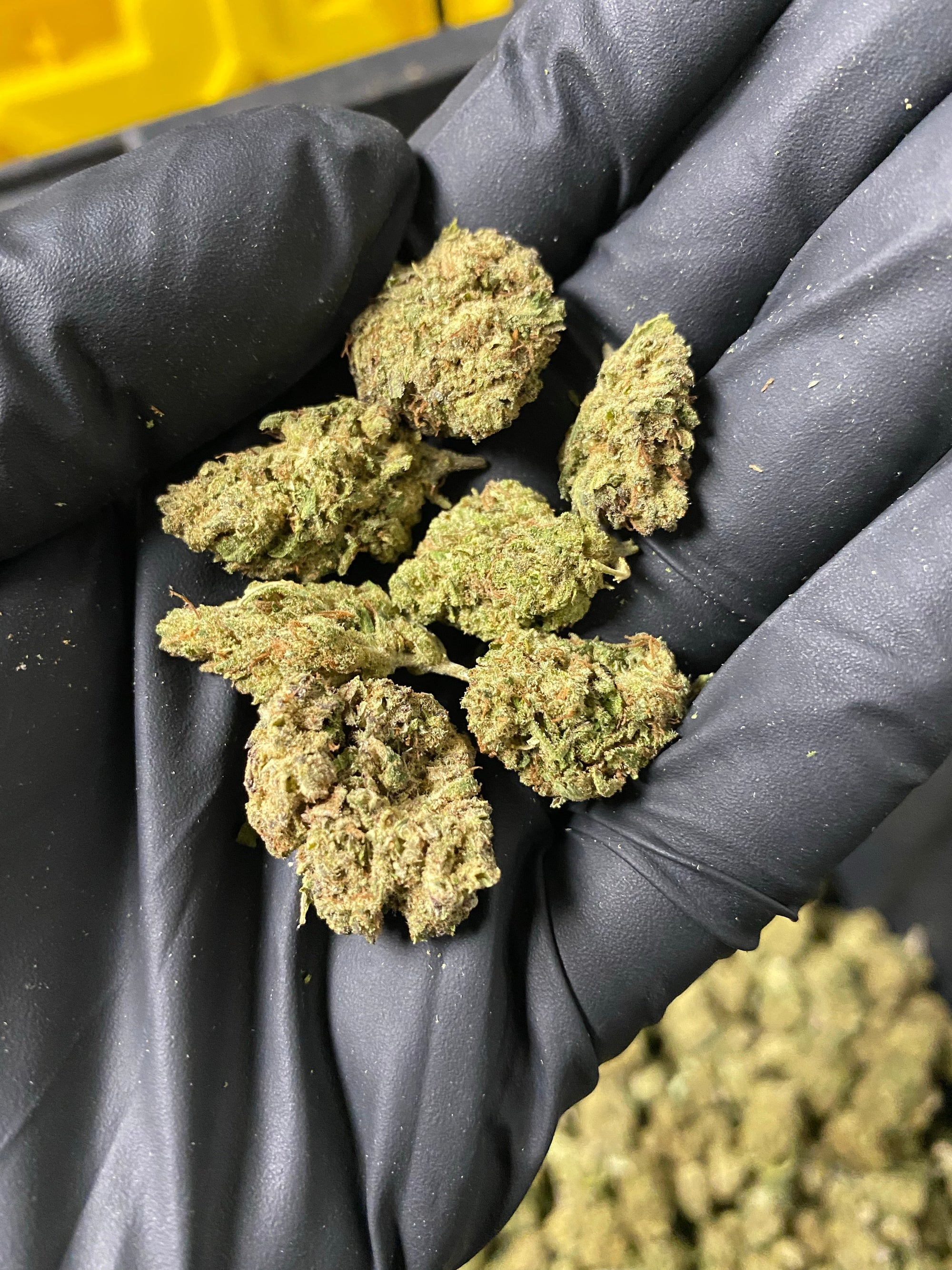 Frosted Kush Smalls