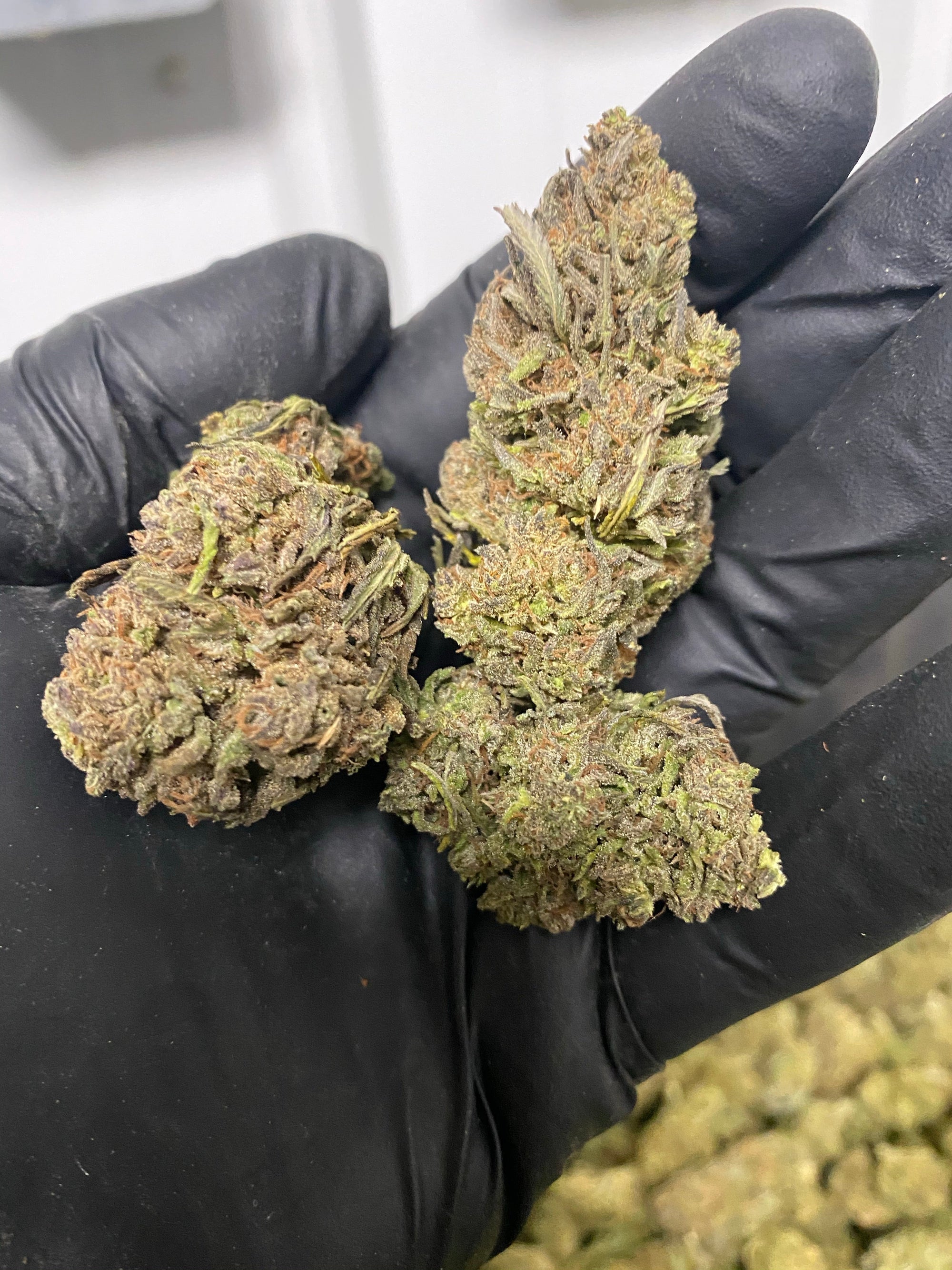Trump-X CBD Flower