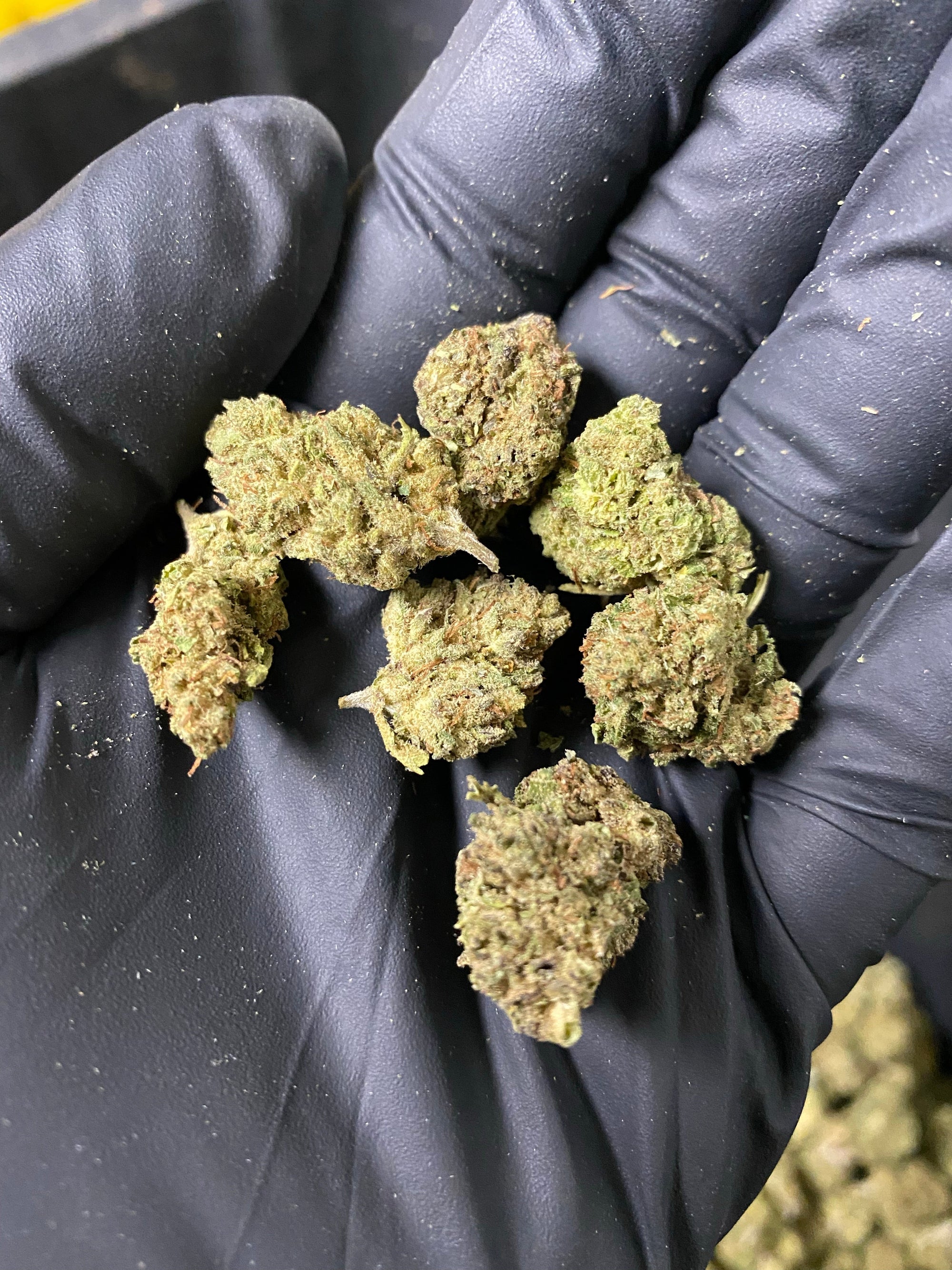 Frosted Kush Smalls