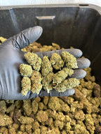 Chem Berry Hemp Flower