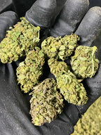 Frosted Lime CBD Hemp Flower