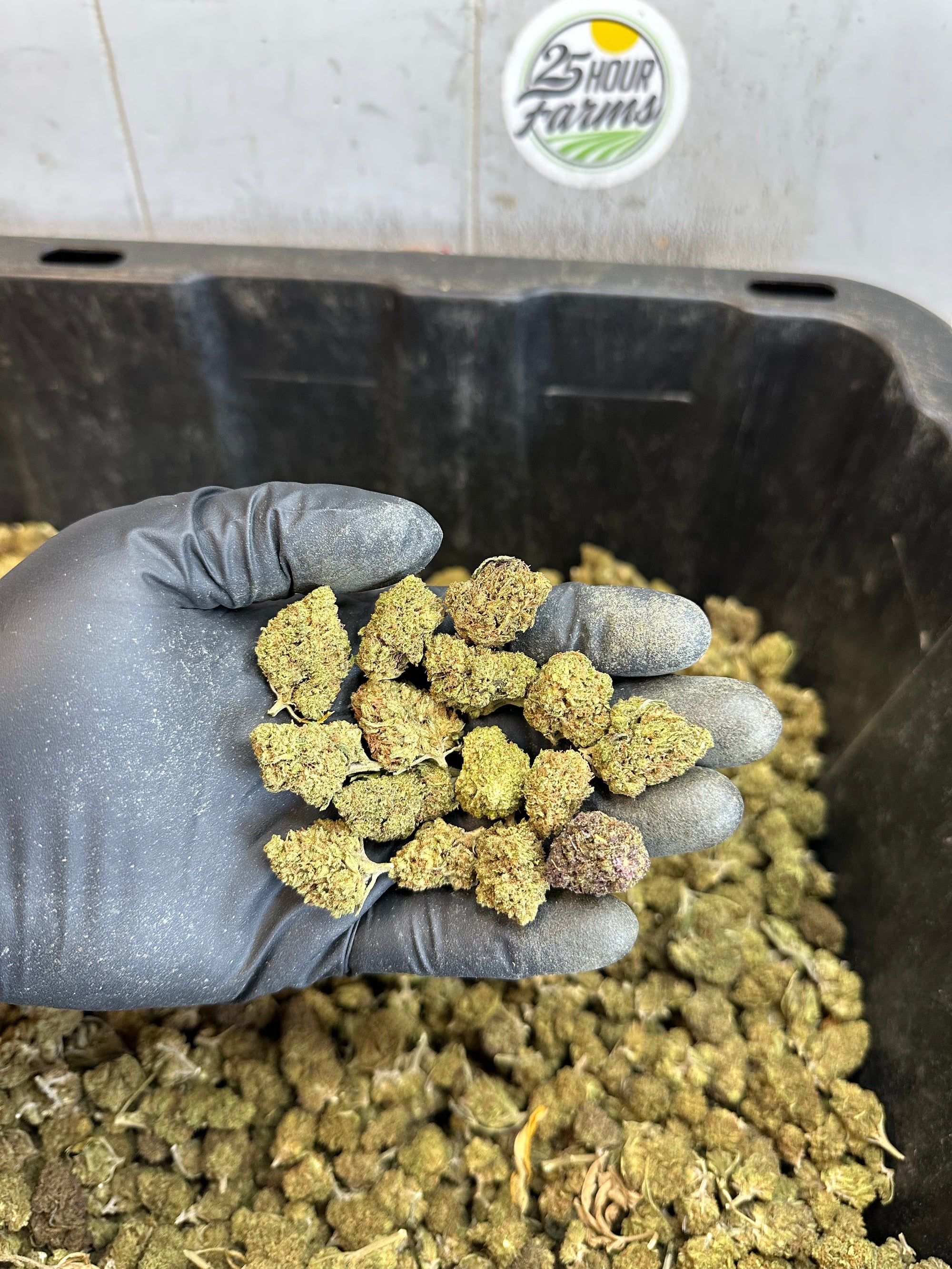 Froot Funk Hemp Flower Smalls