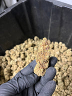Indoor BlueBerry Haze Hemp Flower
