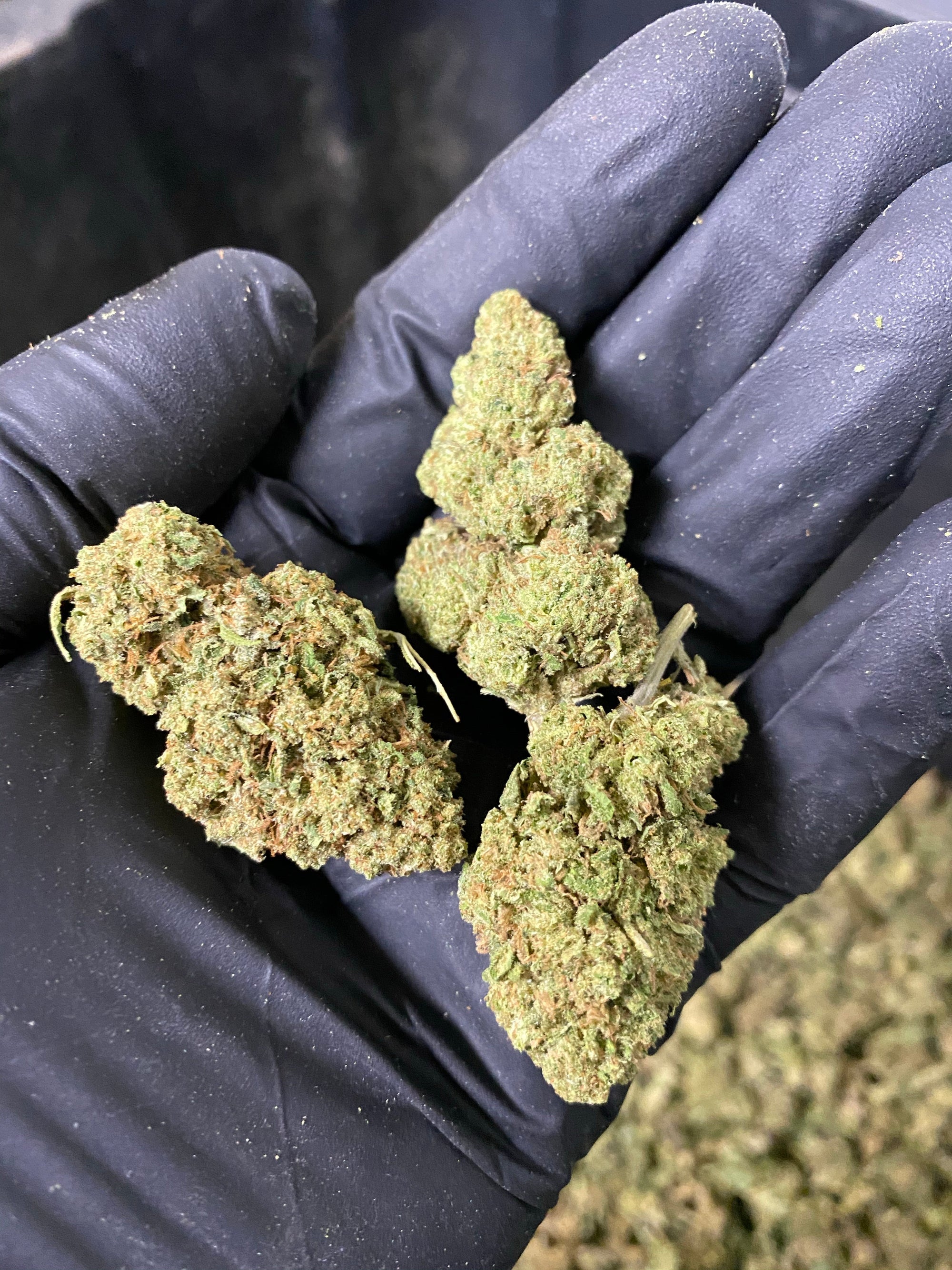 Hawaiian Express