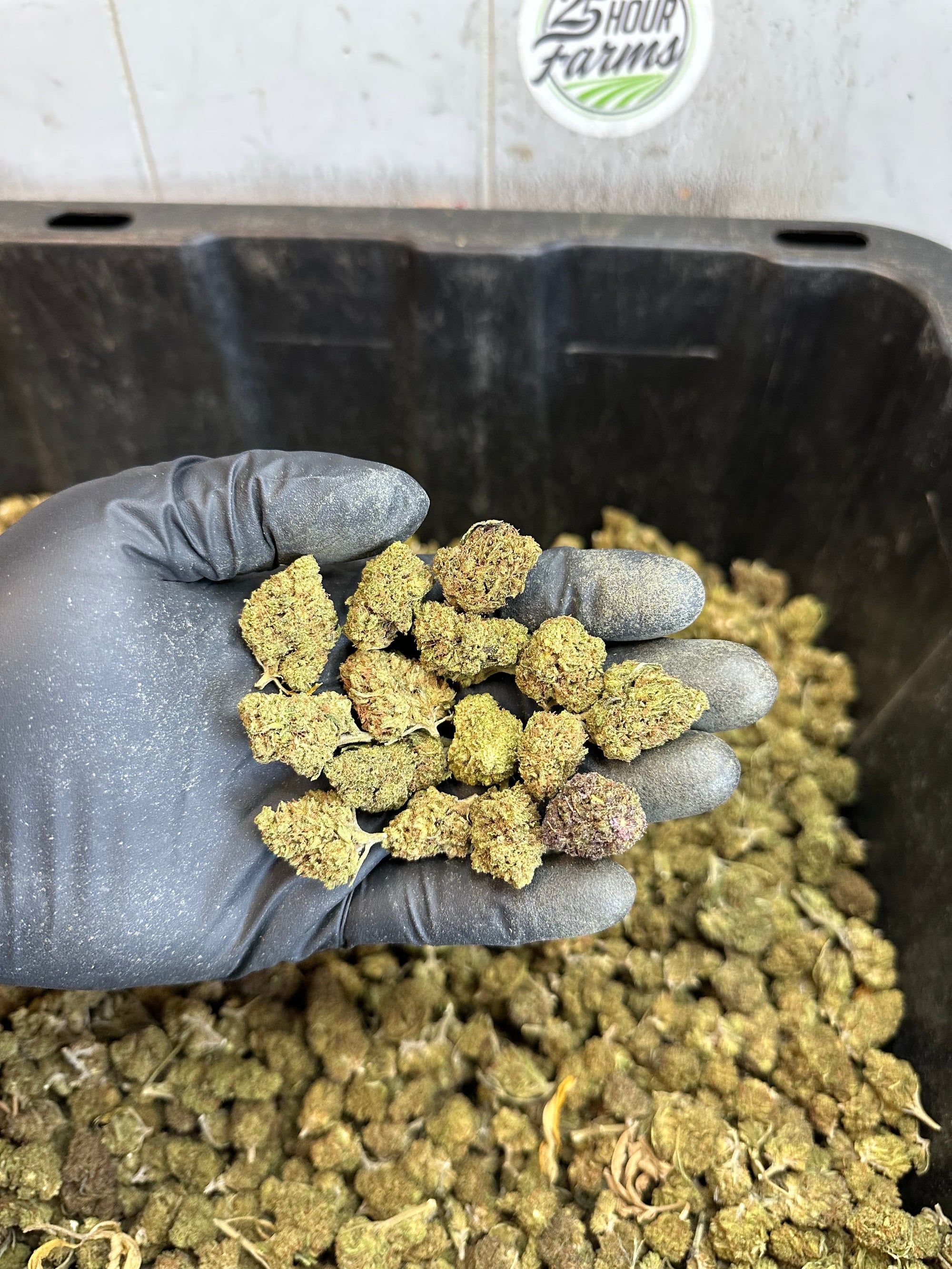 Froot Funk Hemp Flower Smalls