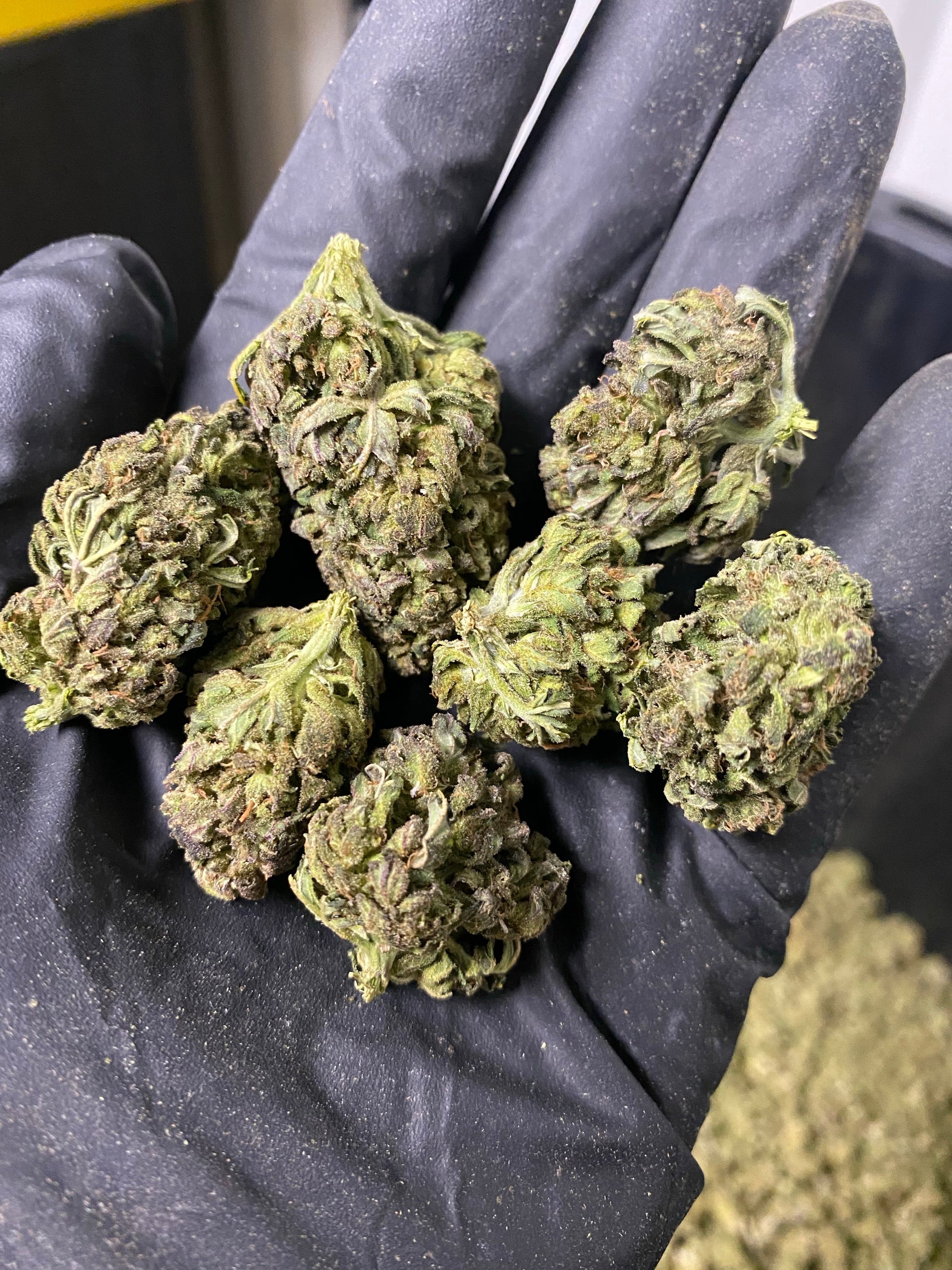 Frosted Lime CBD Hemp Flower