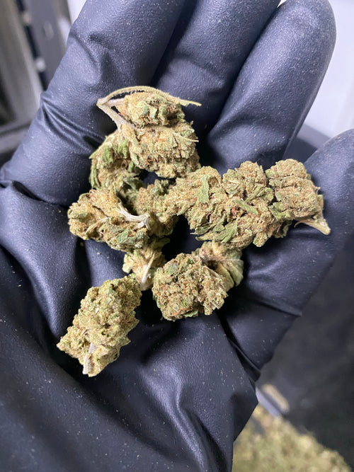 2021 The Wife Hemp Flower
