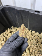 Indoor BlueBerry Haze Hemp Flower