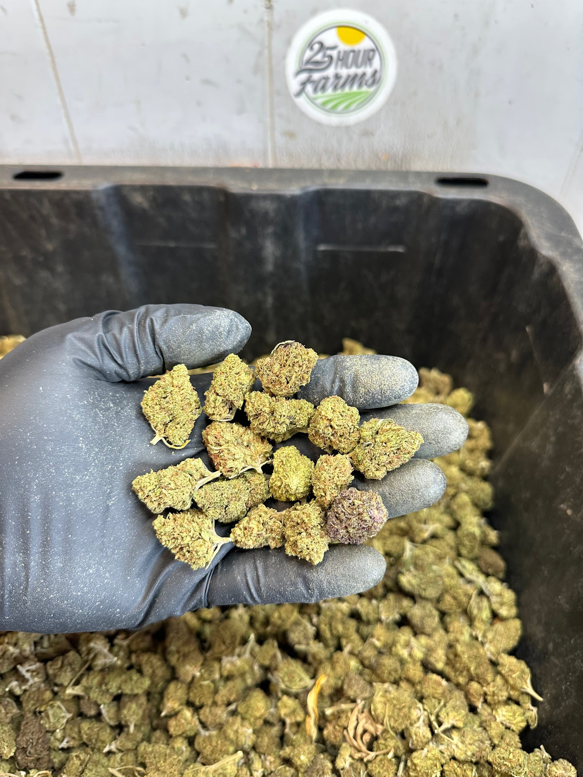Froot Funk Hemp Flower Smalls